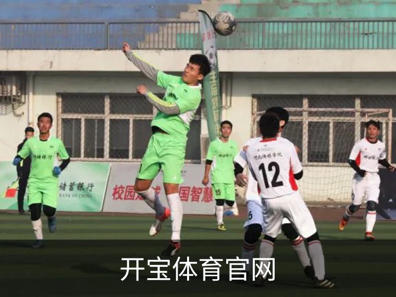 开宝体育官网简介